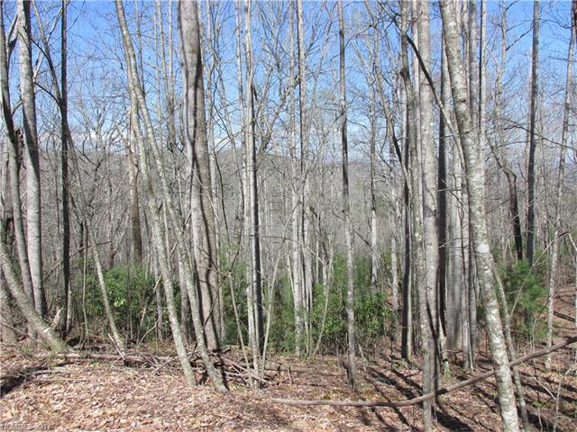 Lot 13 Kanuga Ridge Road - Photo 1