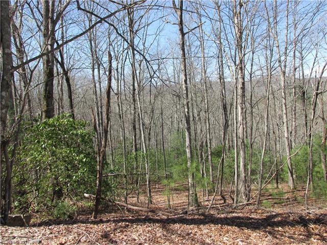Lots 8,9,11 Kanuga Ridge Road - Photo 1