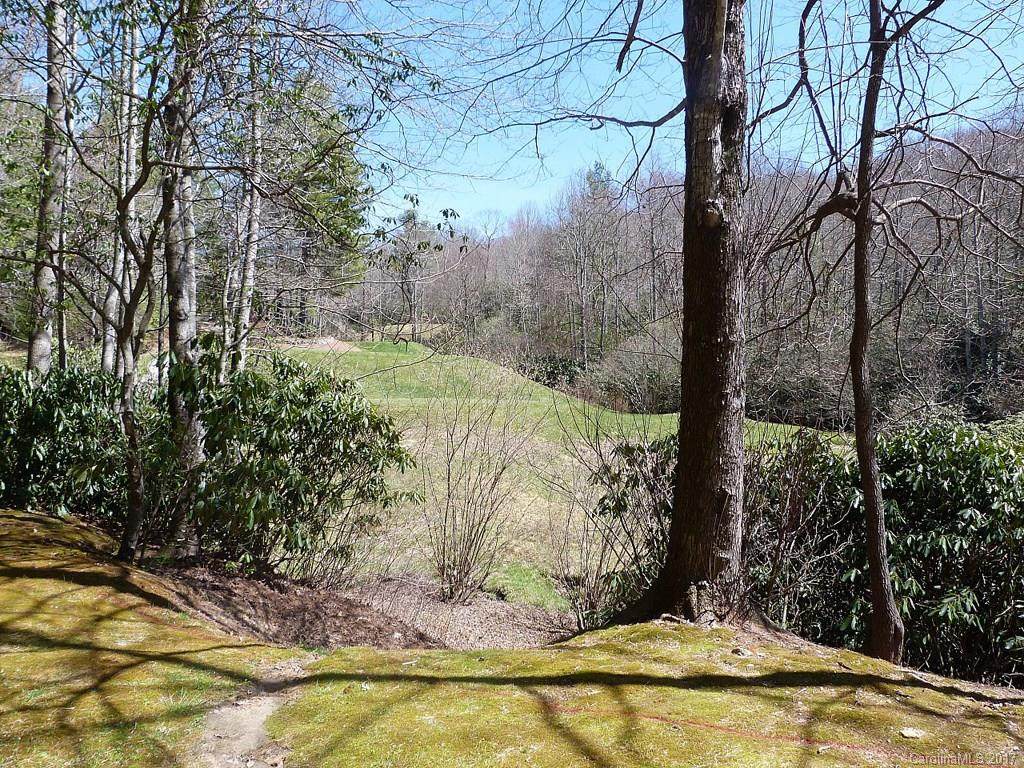 139 Chattooga Run - Photo 1