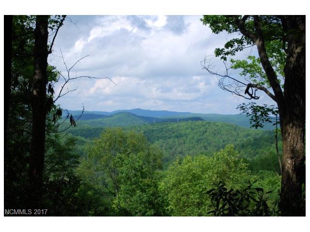 TBD Solomon Jones Road - Photo 1