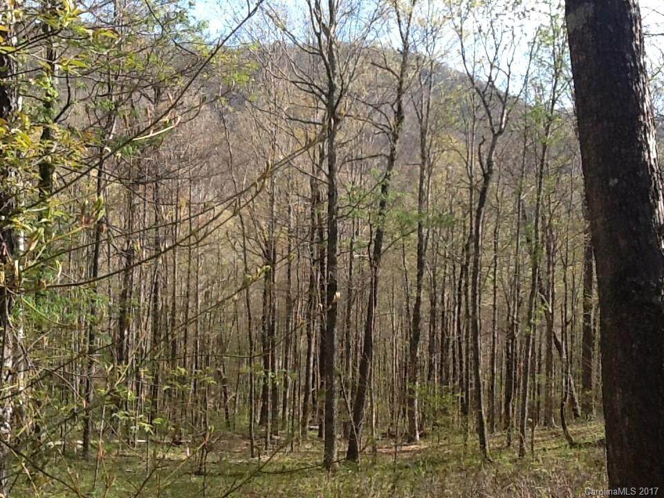114 A Chimney Ridge Trail - Photo 1