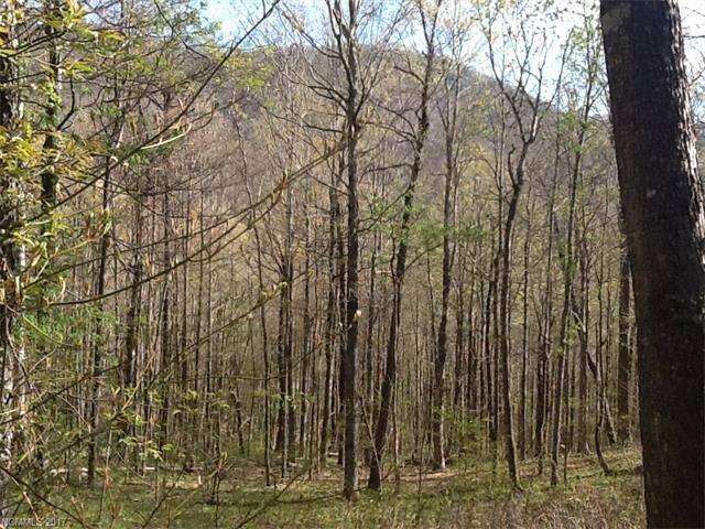 114 A Chimney Ridge Trail - Photo 1