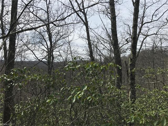 Lot 2 Mocassin Trail - Photo 1