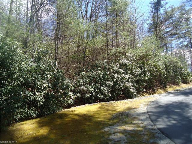 S10 L021 R Indian Lake Road - Photo 1