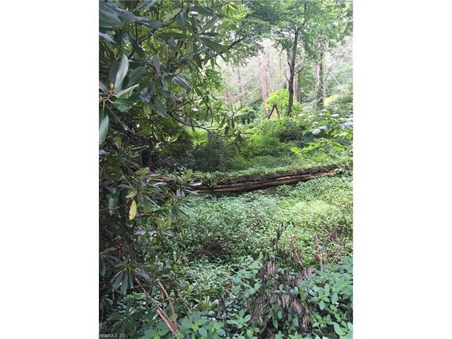 0000 Singlefoot Lane - Photo 1