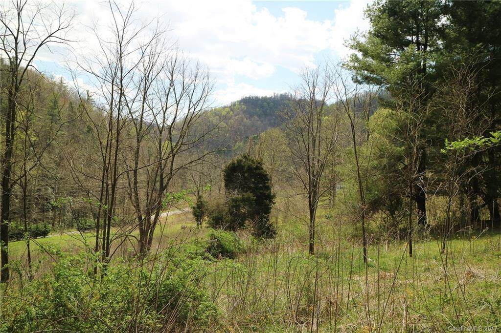 TBD Meadow Fork Road - Photo 1