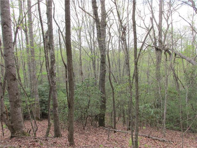 Lot 24 Kanuga Ridge - Photo 1