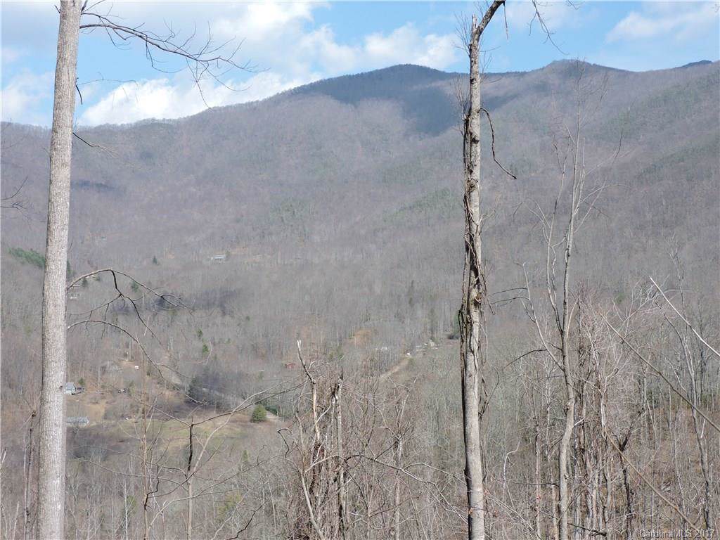 1102 Cat Tail Creek Road - Photo 1