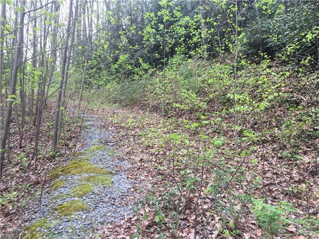 1015 Old Mill Road - Photo 1