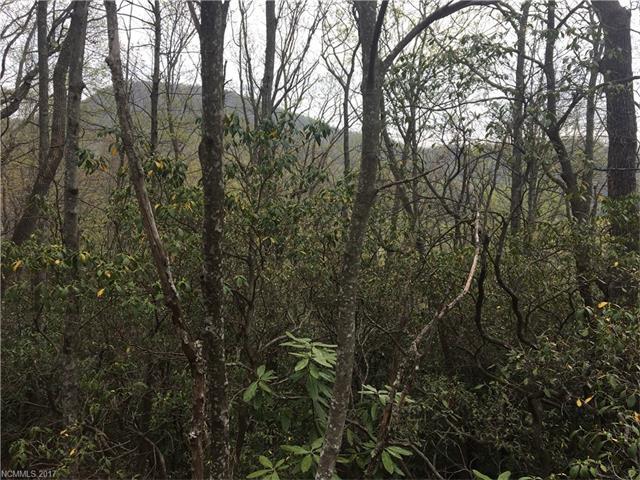 9999 Old Mill Road - Photo 1
