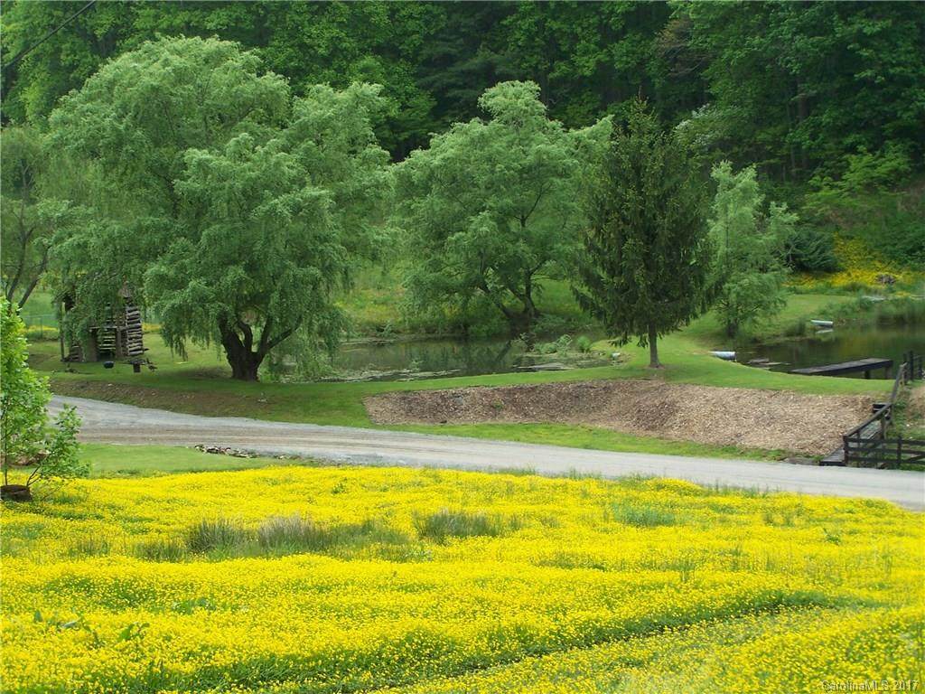 00 Appaloosa Trail - Photo 1