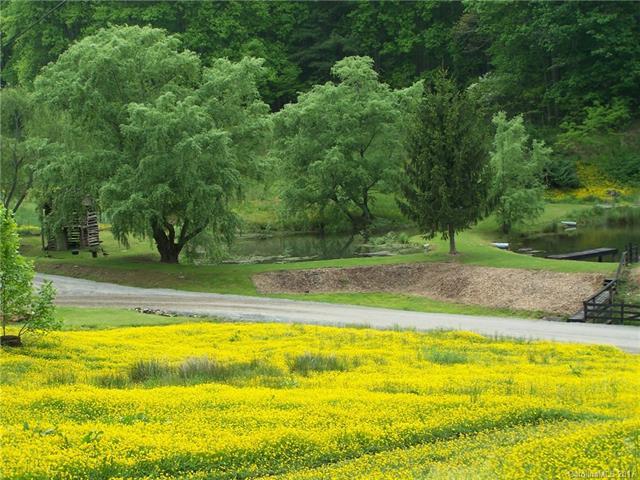 00 Appaloosa Trail - Photo 1