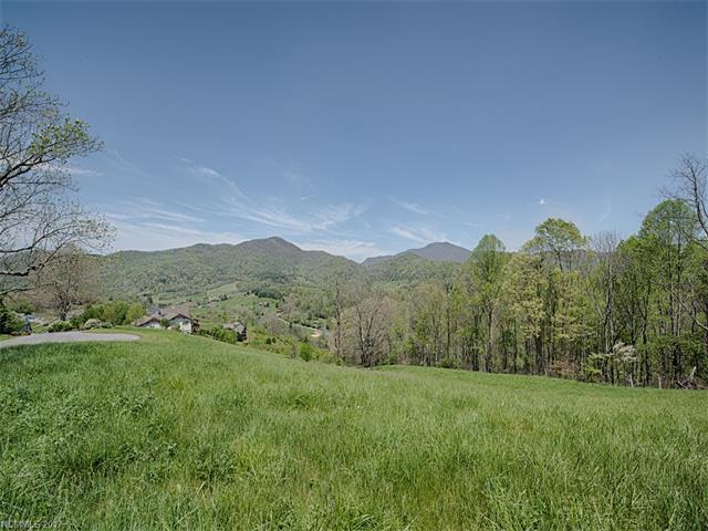Lot 9 Everview Lane - Photo 1
