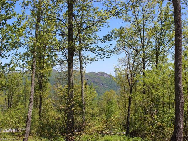 LOT 37 Grand Oaks Drive - Photo 1