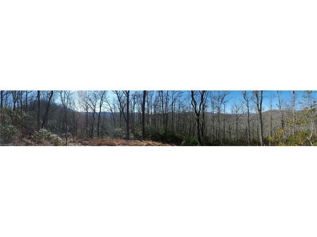 TBD Line Runner Ridge Road - Photo 1