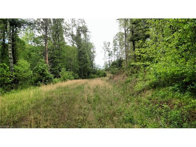 000 Bear Creek Road - Photo 1
