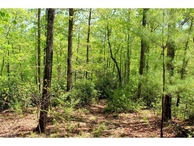000 Firefly Trail - Photo 1
