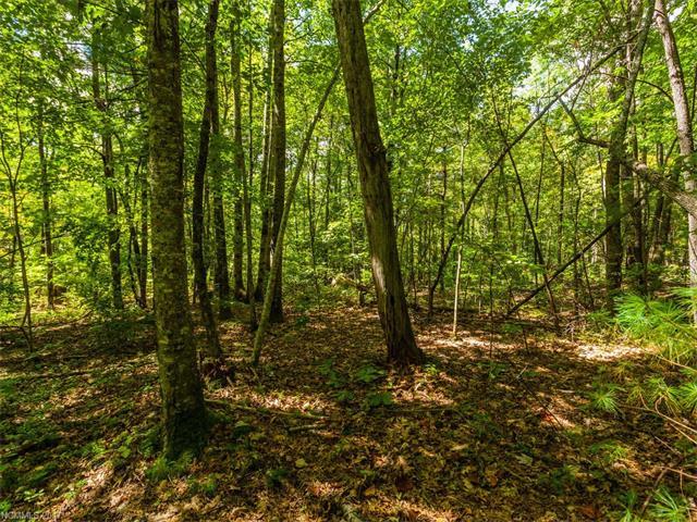 Lot #1 Drake Mountain Lane - Photo 1