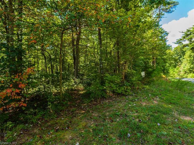 Lot #4 Drake Mountain Lane - Photo 1