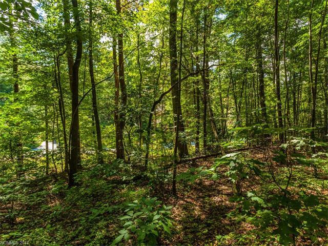 Lot #5 Drake Mountain Lane - Photo 1