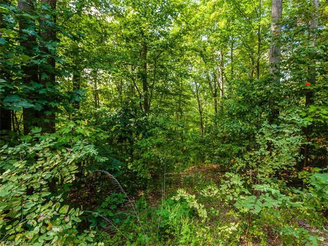 Lot #6 Drake Mountain Lane - Photo 1