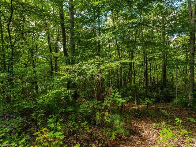 Lot #7 Drake Mountain Lane - Photo 1