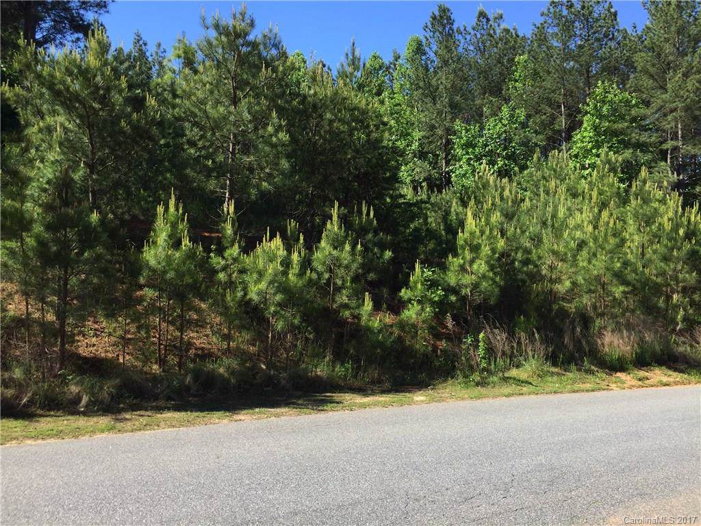 153 Winding Forest Drive - Photo 1