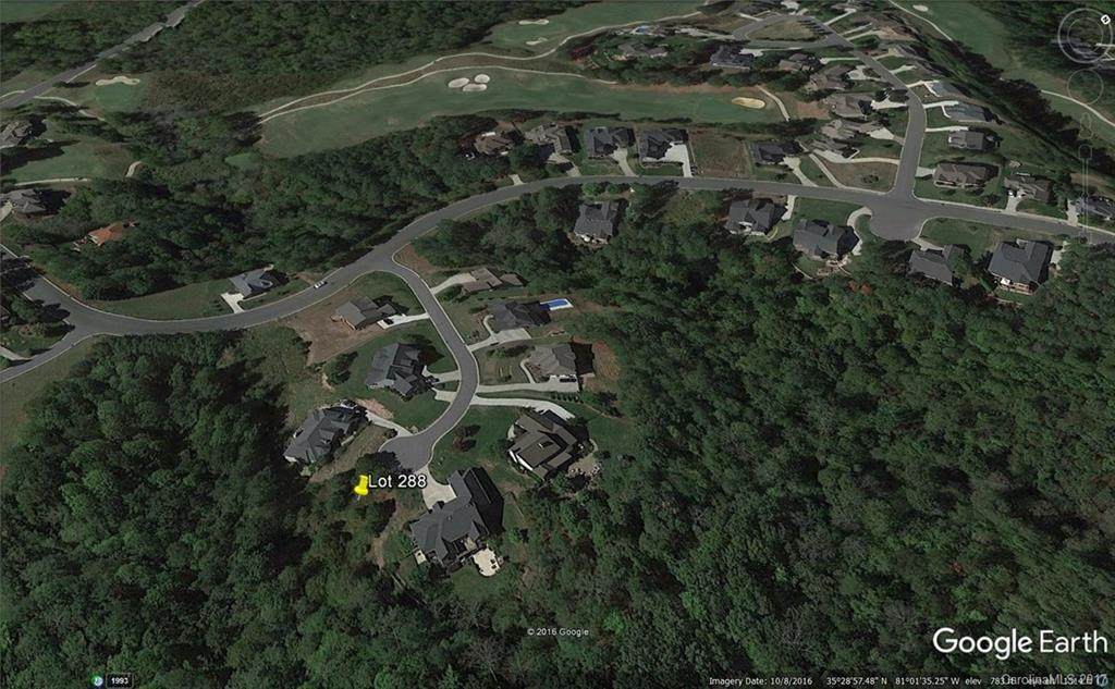 Lot 288 Thornblade Court - Photo 1