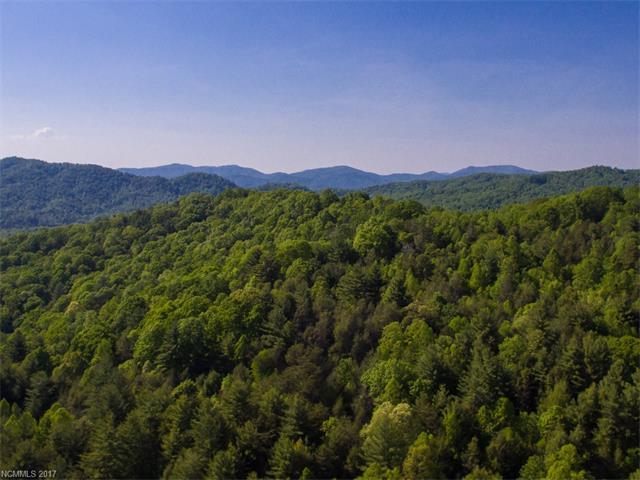 55.89+/- Acres Bearwallow Road - Photo 1