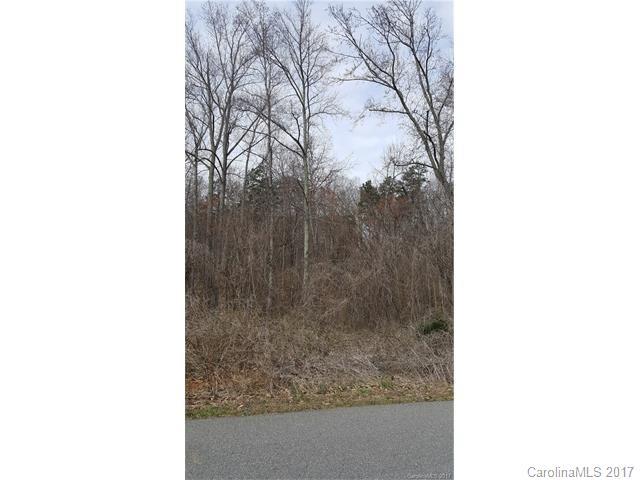 Lot 13 & 14 Glen Meadows Drive - Photo 1