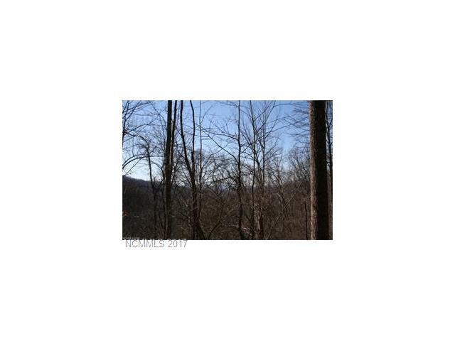 119 & 118 High Timber Trail - Photo 1