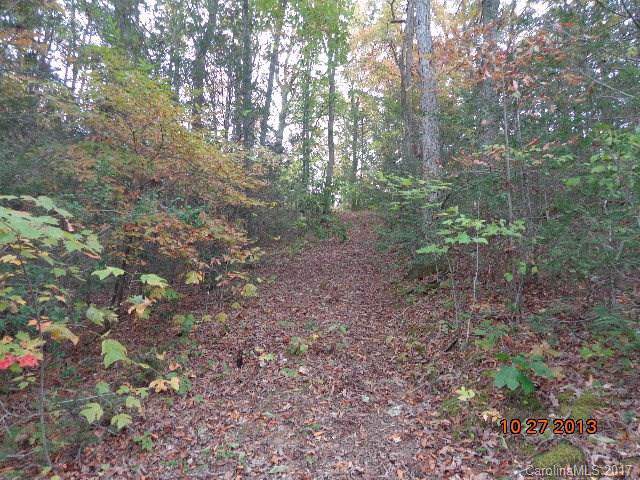 Lot 7 Brigsy Lane - Photo 1