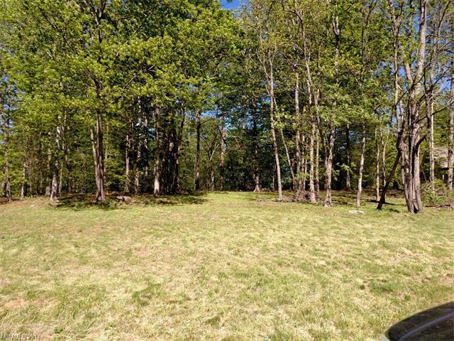 Lot 15 Stepping Stone Lane - Photo 1