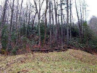 VL306 Mountain Forest Estates - Photo 1