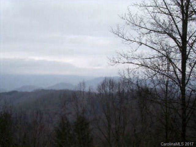 VL73 Mountain Forest Estates - Photo 1