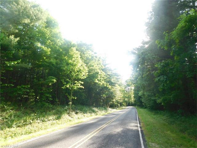 Lot 1 and 2 Pisgah Drive - Photo 1