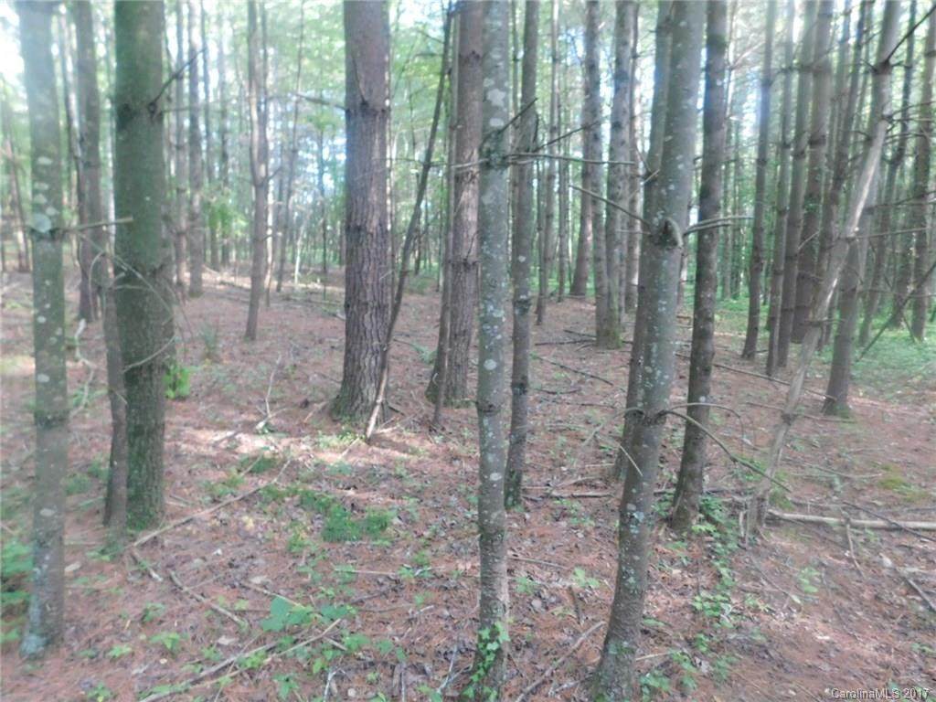 Lot 1 Pisgah Drive - Photo 1