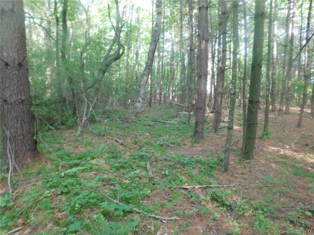 Lot 2 Pisgah Drive - Photo 1
