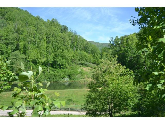 00 Palomino Road - Photo 1