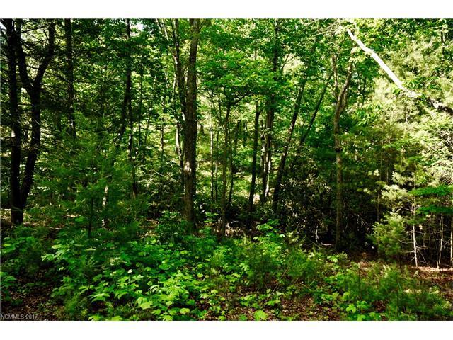 118 Powder Creek Trail - Photo 1