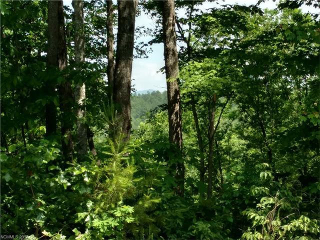 Lot 6 Cross Creek Trail - Photo 1