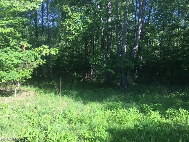 47 Lake Adger Parkway - Photo 1