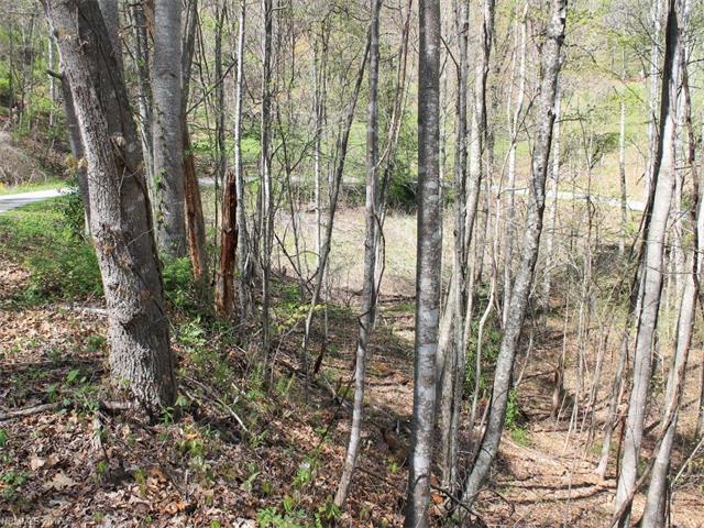 00 Hidden Valley Road - Photo 1