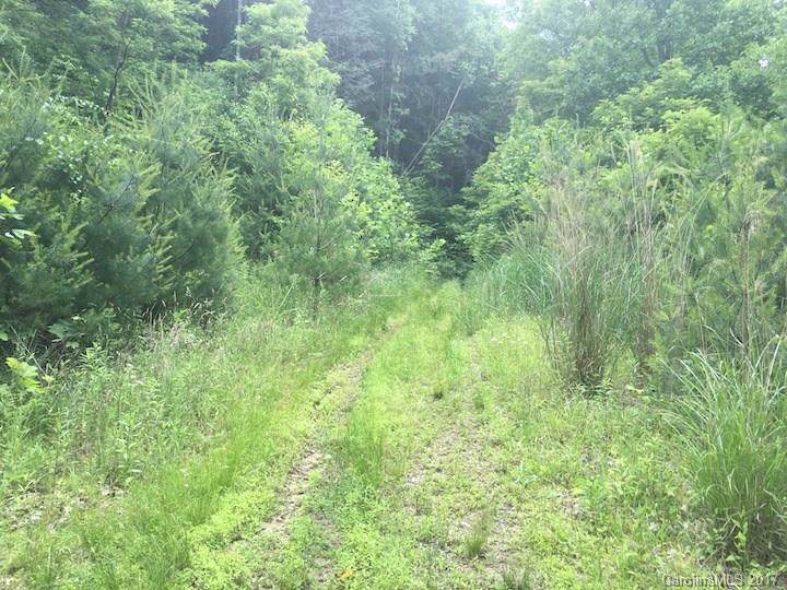 Lot 65 Running Deer Lane - Photo 1