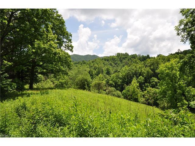 4055 Revere Road - Photo 1