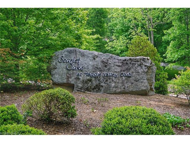 6 Trout Lily Lane - Photo 1