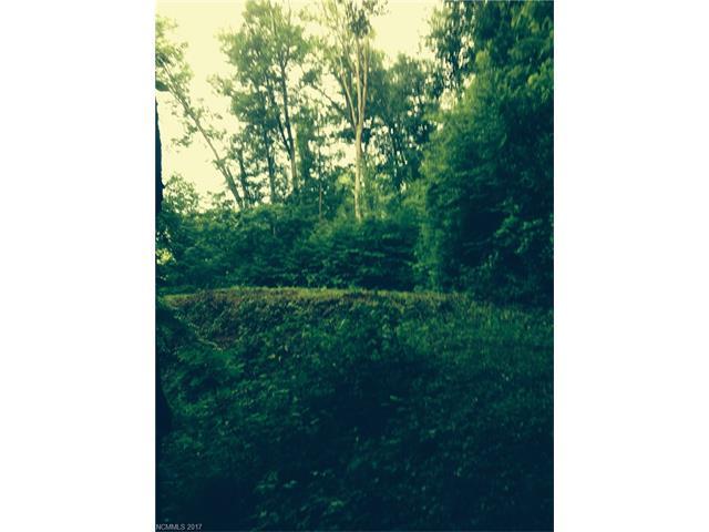 223 Boomer Run Road - Photo 1