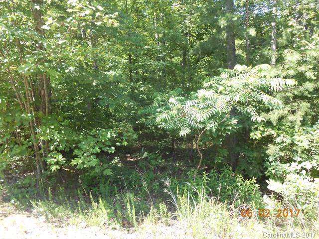 62 Blackberry Creek - Photo 1