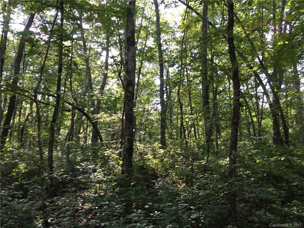 lot 16 Robin Hood Road - Photo 1