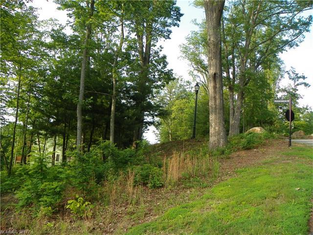 35 Catamount Trace - Photo 1